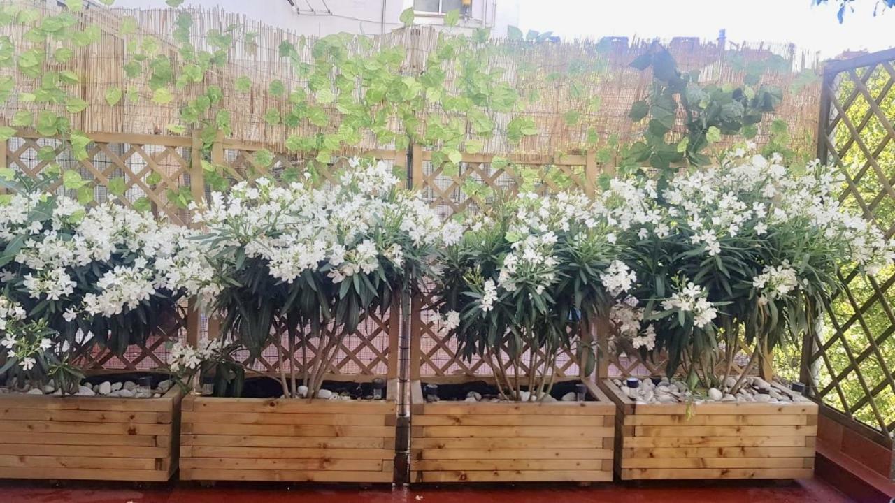 Appartement San Quirce - Céntrico Y Reformado- Wifi Y Netflix